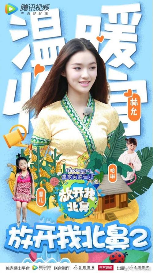 高中及中专学历可以考什么证书